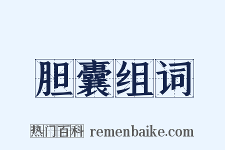 胆囊组词是什么意思的图片